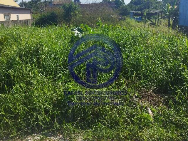 #49 - Área para Venda em Ilha Comprida - SP - 1