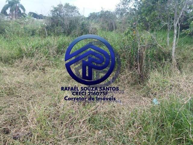 Área para Venda em Ilha Comprida - 5