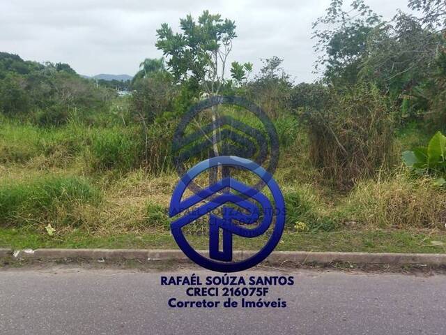 #97 - Área para Venda em Ilha Comprida - SP - 3