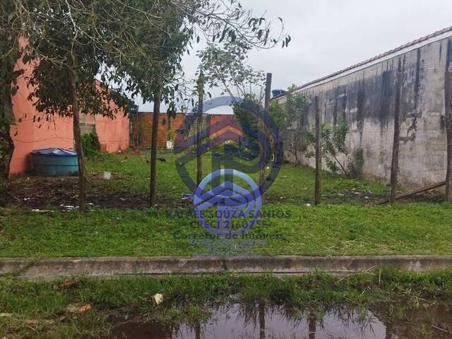 #103 - Área para Venda em Ilha Comprida - SP - 3
