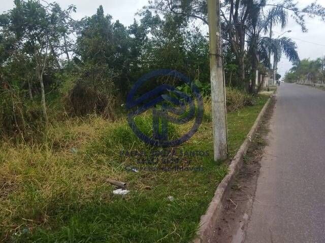 #97 - Área para Venda em Ilha Comprida - SP - 1