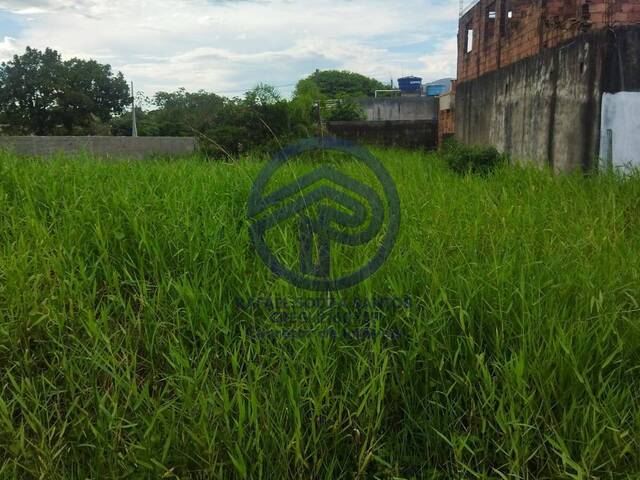 #119 - Área para Venda em Ilha Comprida - SP - 1