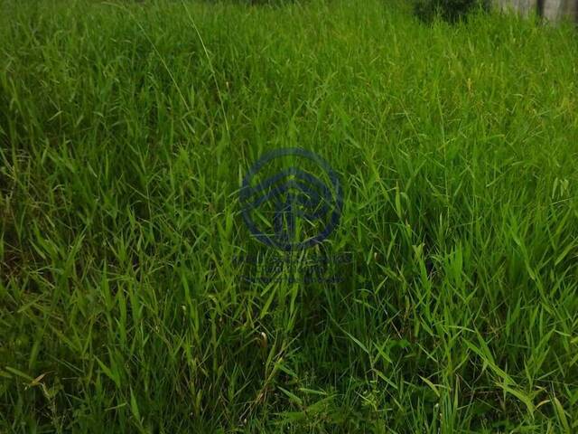 #119 - Área para Venda em Ilha Comprida - SP - 2