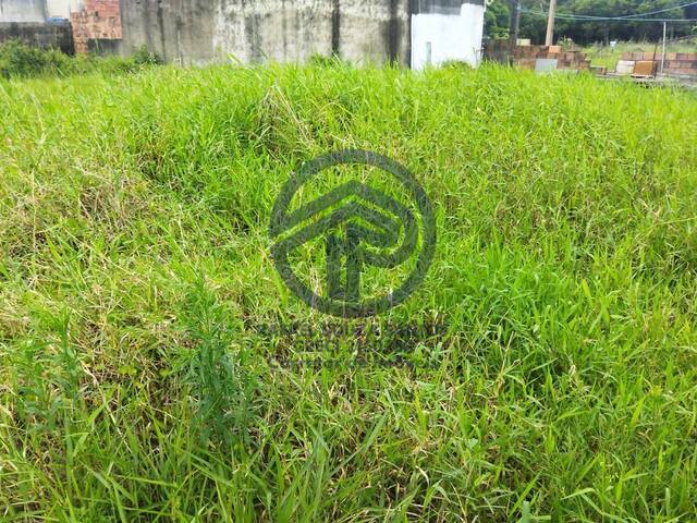 #119 - Área para Venda em Ilha Comprida - SP - 3