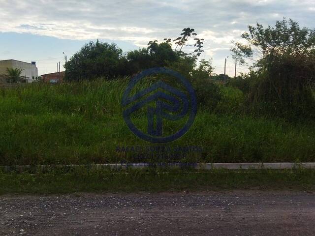#120 - Área para Venda em Ilha Comprida - SP - 3