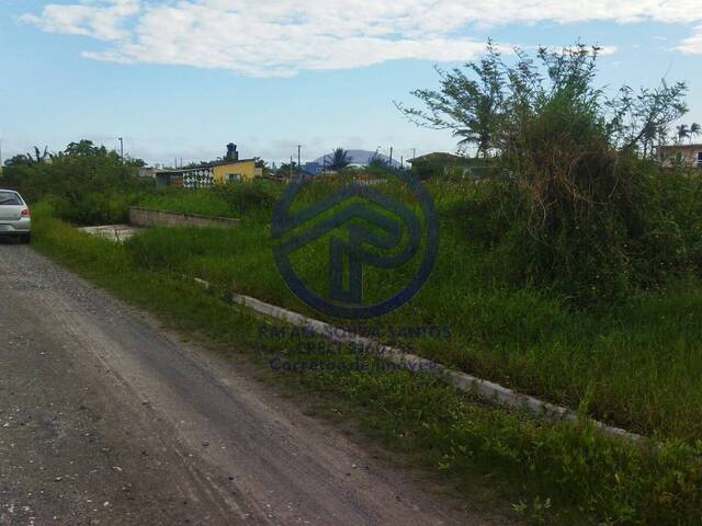 Área para Venda em Ilha Comprida - 4