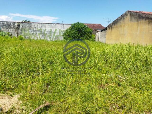#121 - Área para Venda em Ilha Comprida - SP - 3