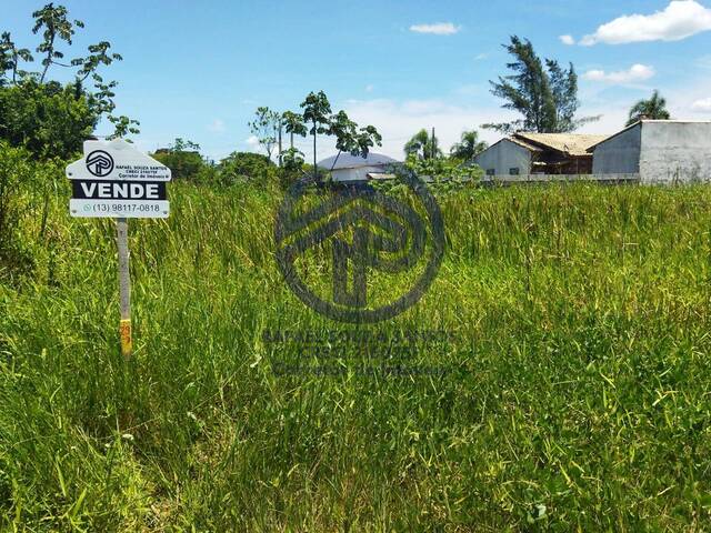 #120 - Área para Venda em Ilha Comprida - SP - 1