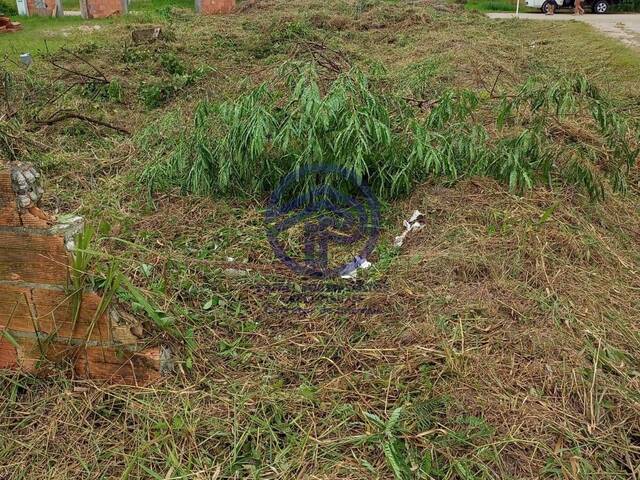 #129 - Área para Venda em Ilha Comprida - SP - 1