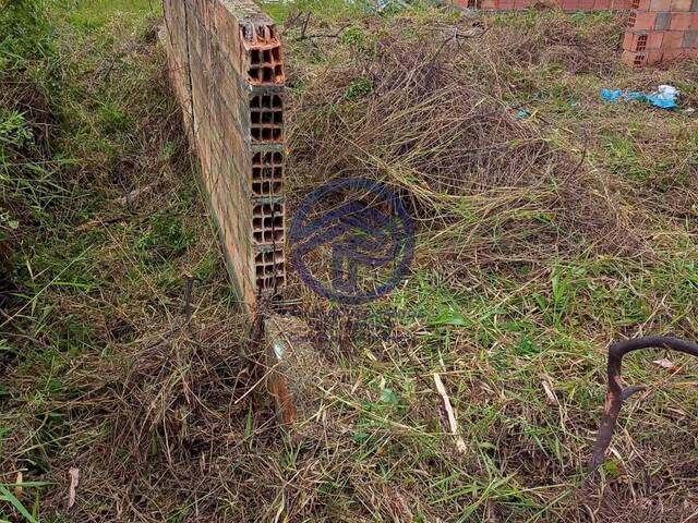 Área para Venda em Ilha Comprida - 5