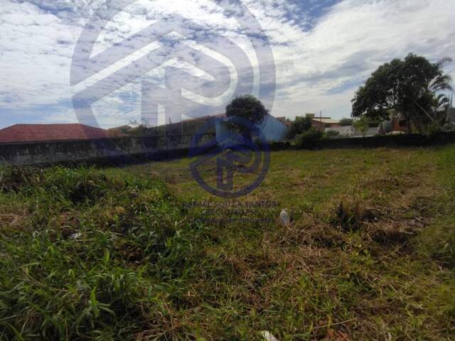 #130 - Área para Venda em Ilha Comprida - SP - 2