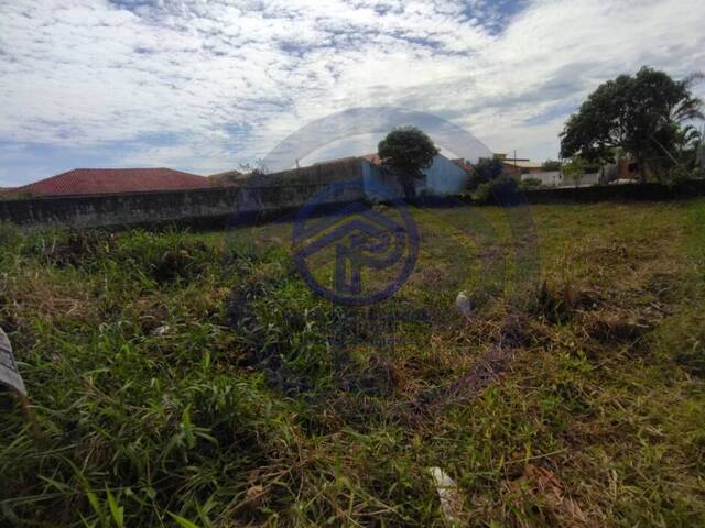 #130 - Área para Venda em Ilha Comprida - SP - 3