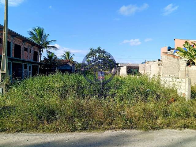 #151 - Área para Venda em Ilha Comprida - SP - 1